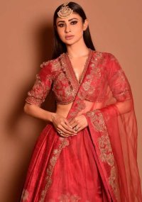 mouni roy_teluguvox 2